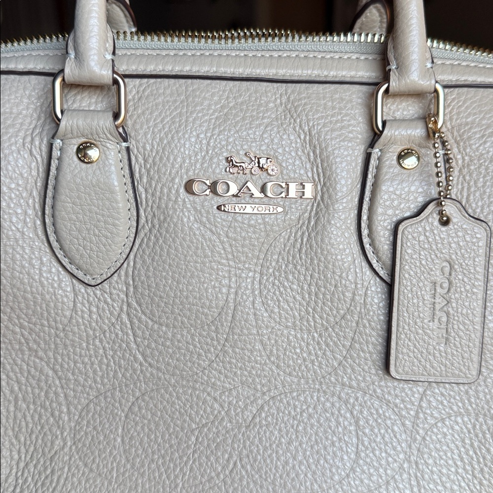 Rowan Large Satchel Bag In Signature Leather (Oat) - Picture 11 of 12